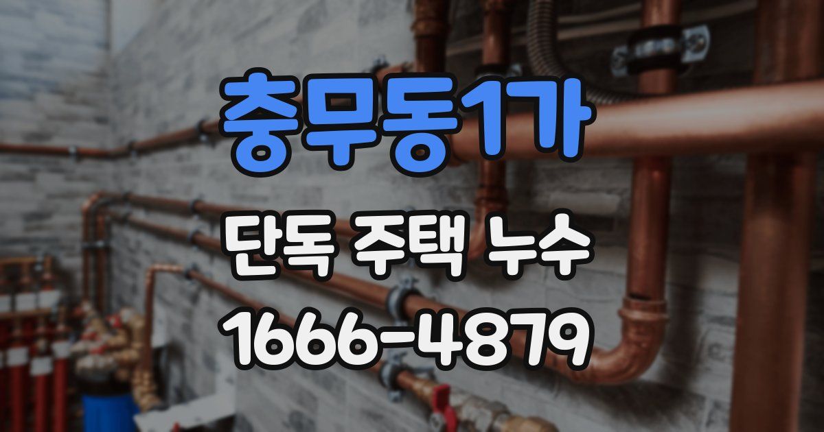 충무동1가 단독 주택 누수