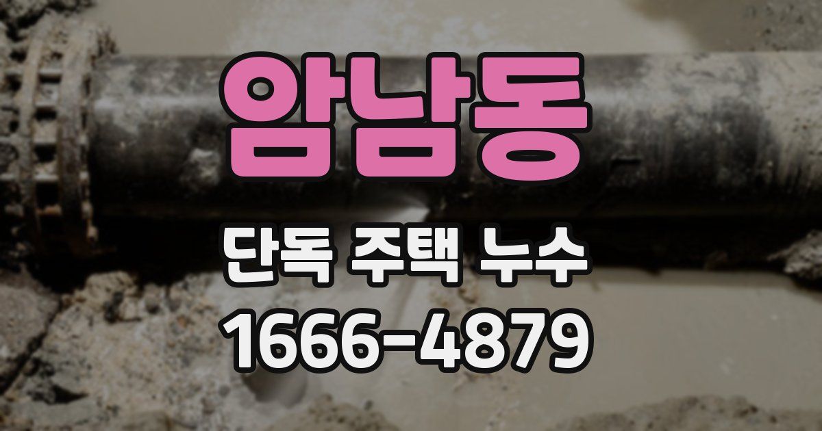 암남동 단독 주택 누수