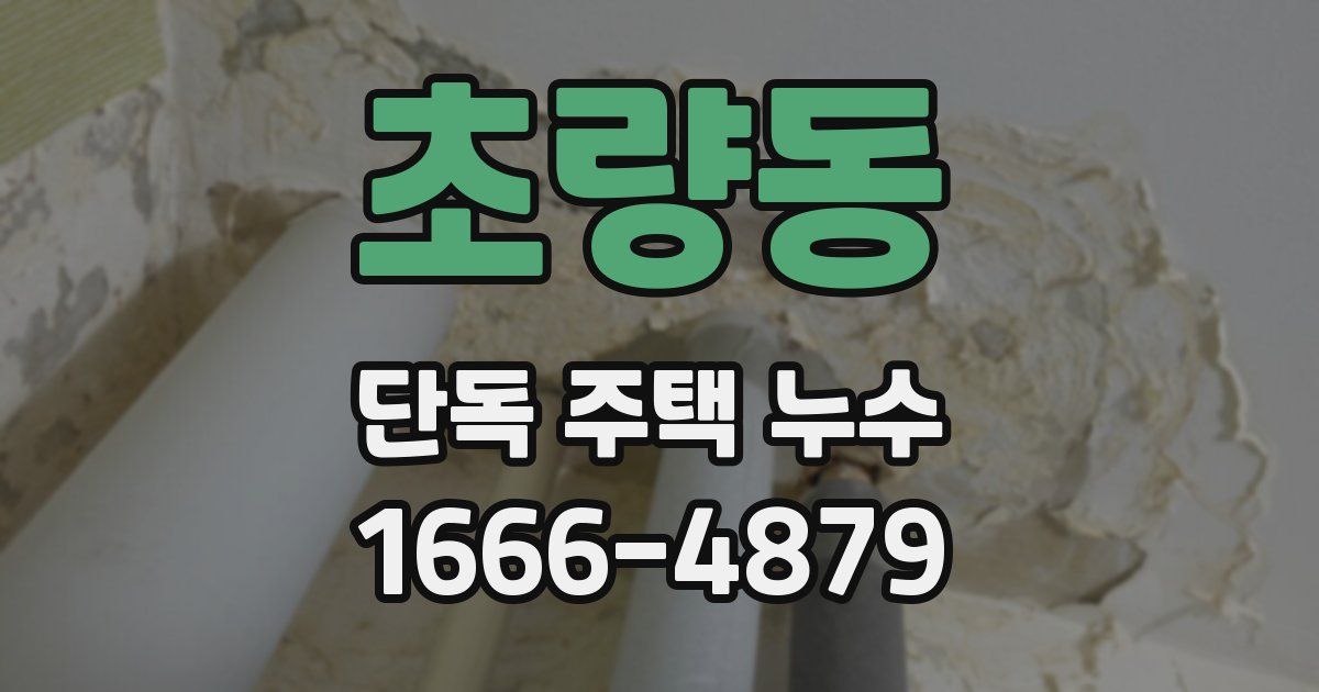 초량동 단독 주택 누수