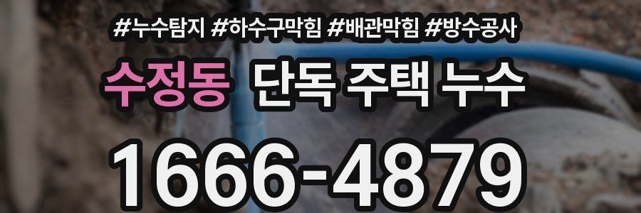 수정동 단독 주택 누수