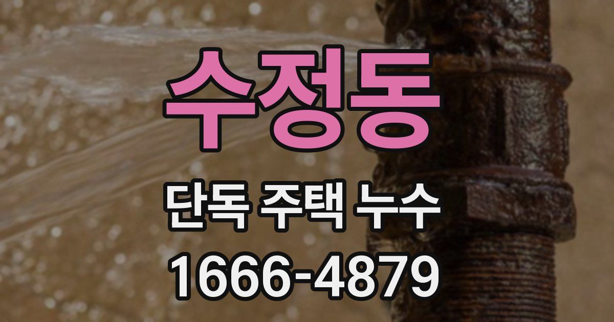 수정동 단독 주택 누수