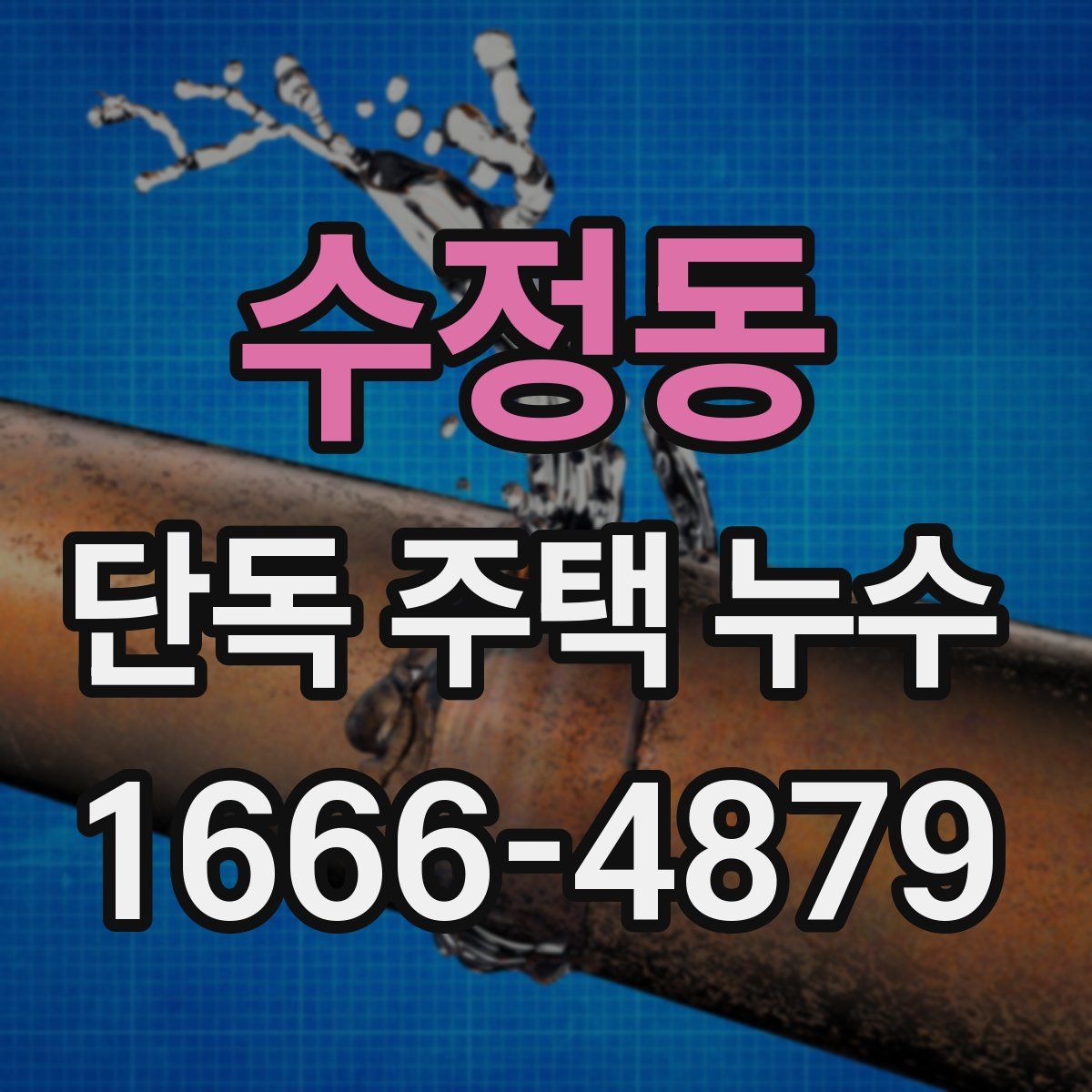 수정동 단독 주택 누수