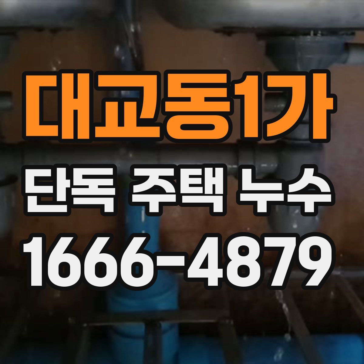 대교동1가 단독 주택 누수