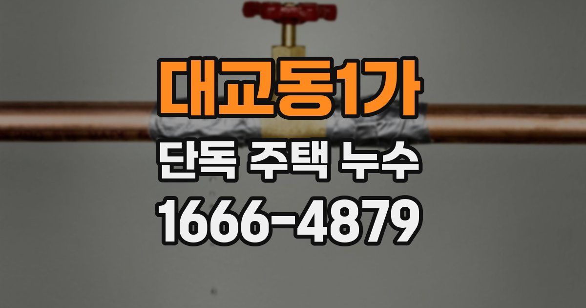 대교동1가 단독 주택 누수
