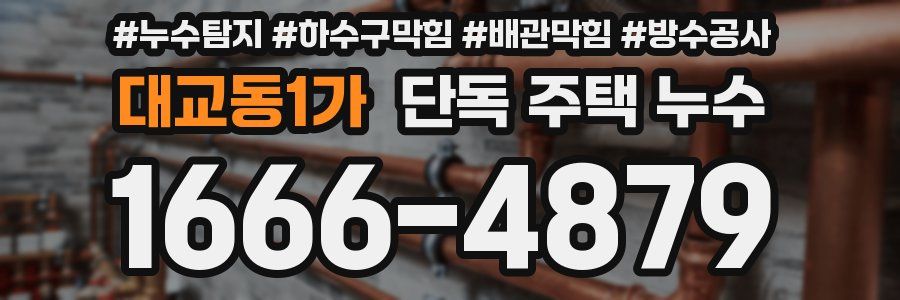 대교동1가 단독 주택 누수