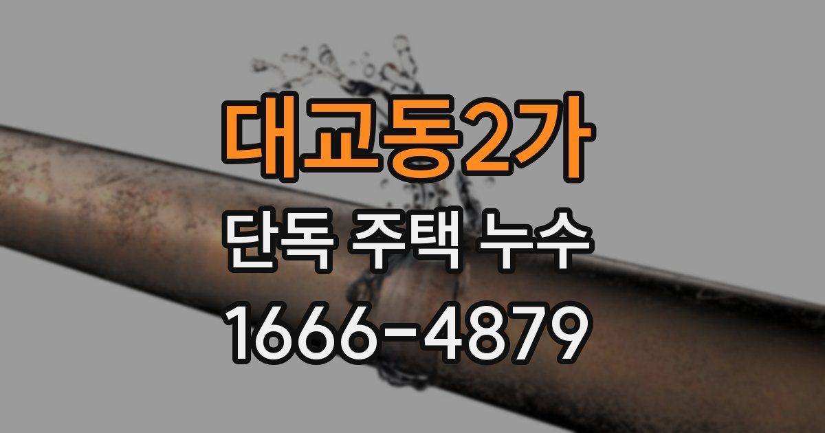 대교동2가 단독 주택 누수