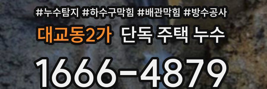 대교동2가 단독 주택 누수