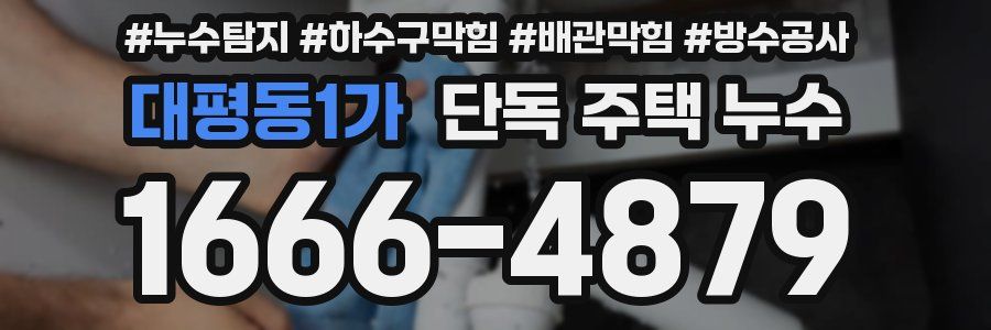대평동1가 단독 주택 누수