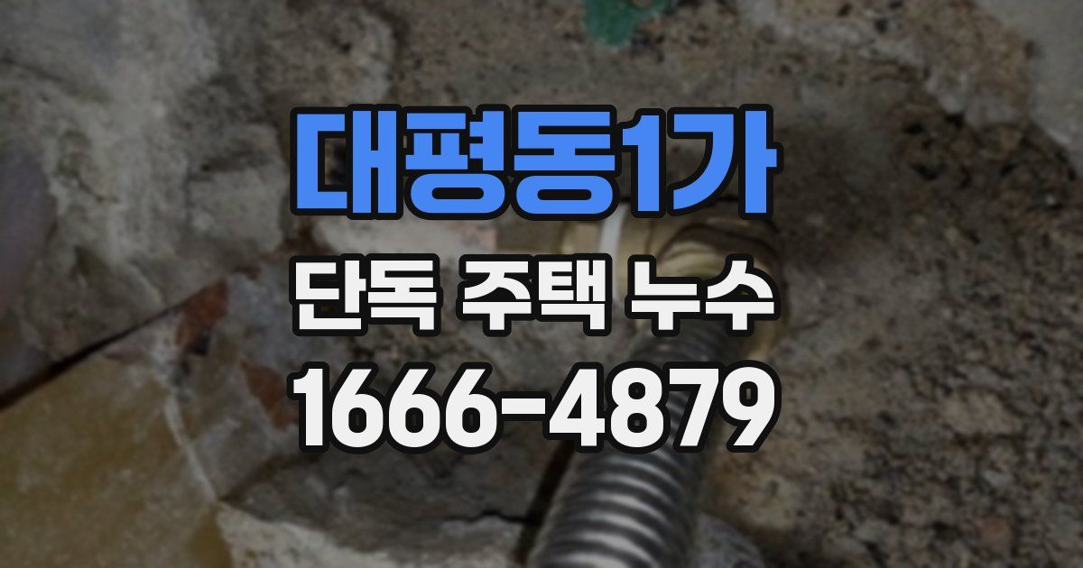 대평동1가 단독 주택 누수