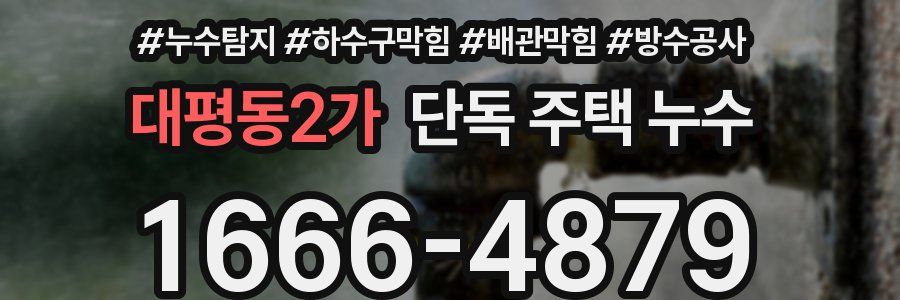 대평동2가 단독 주택 누수