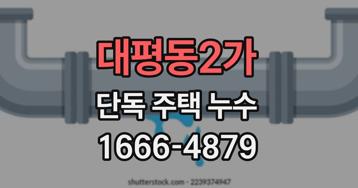 대평동2가 단독 주택 누수