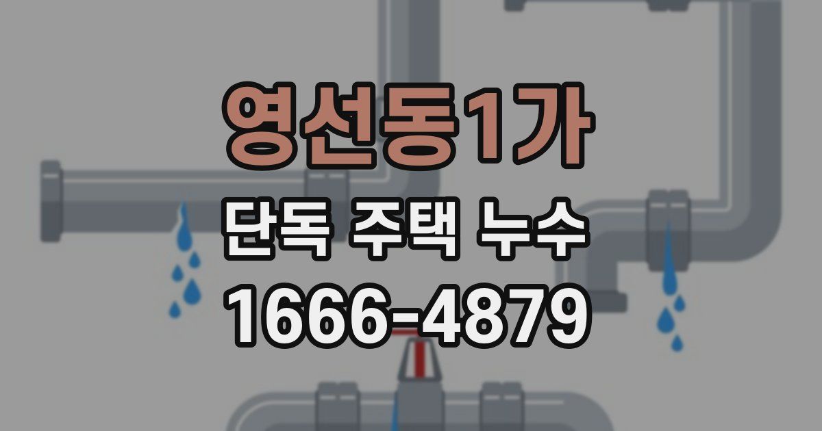 영선동1가 단독 주택 누수