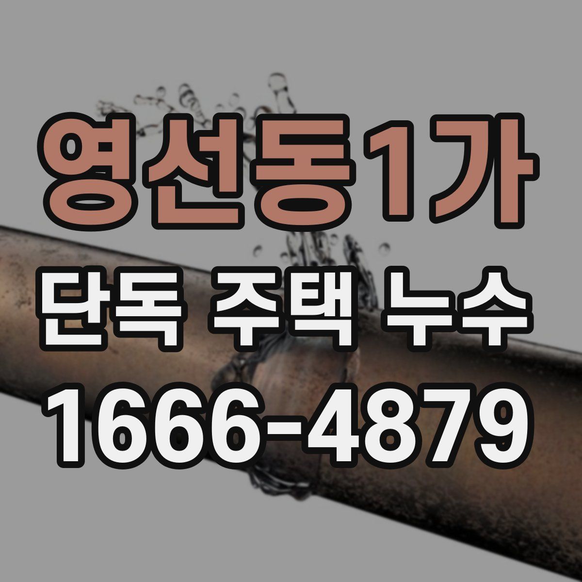 영선동1가 단독 주택 누수