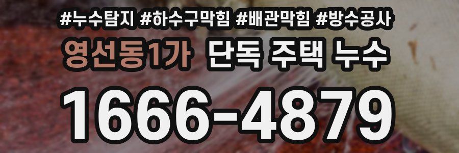 영선동1가 단독 주택 누수