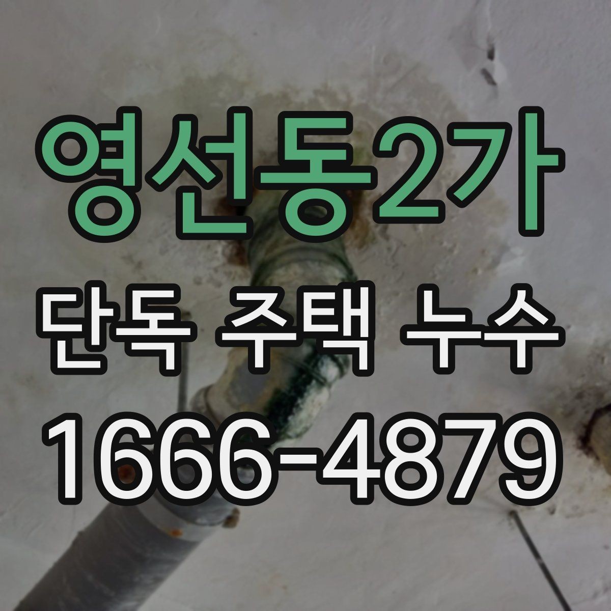 영선동2가 단독 주택 누수 점검에서 배관 확인이 중요한 이유