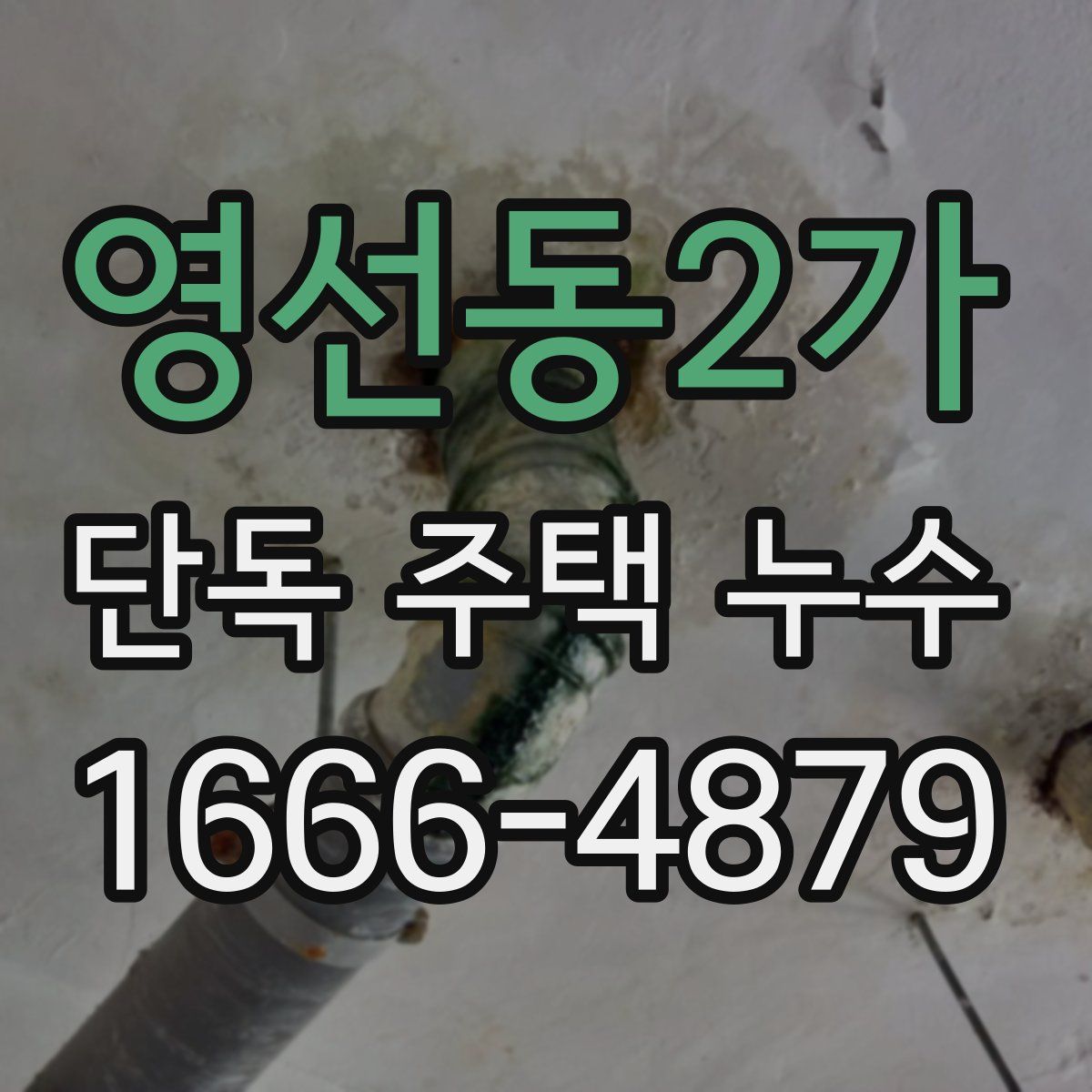 영선동2가 단독 주택 누수