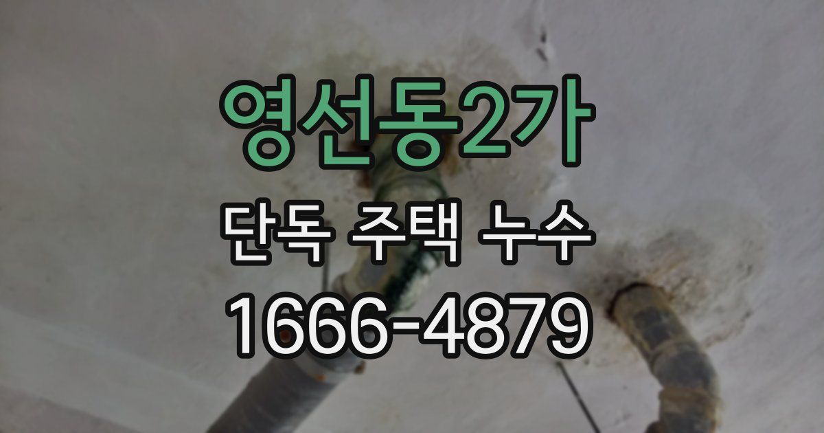 영선동2가 단독 주택 누수