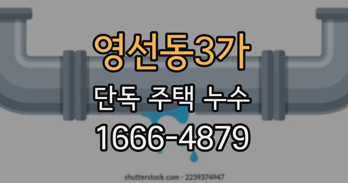 영선동3가 단독 주택 누수