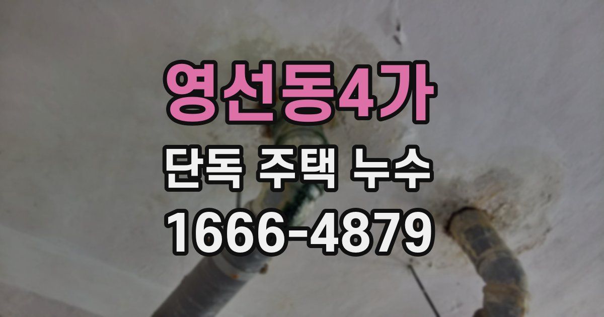 영선동4가 단독 주택 누수