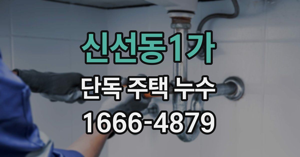 신선동1가 단독 주택 누수