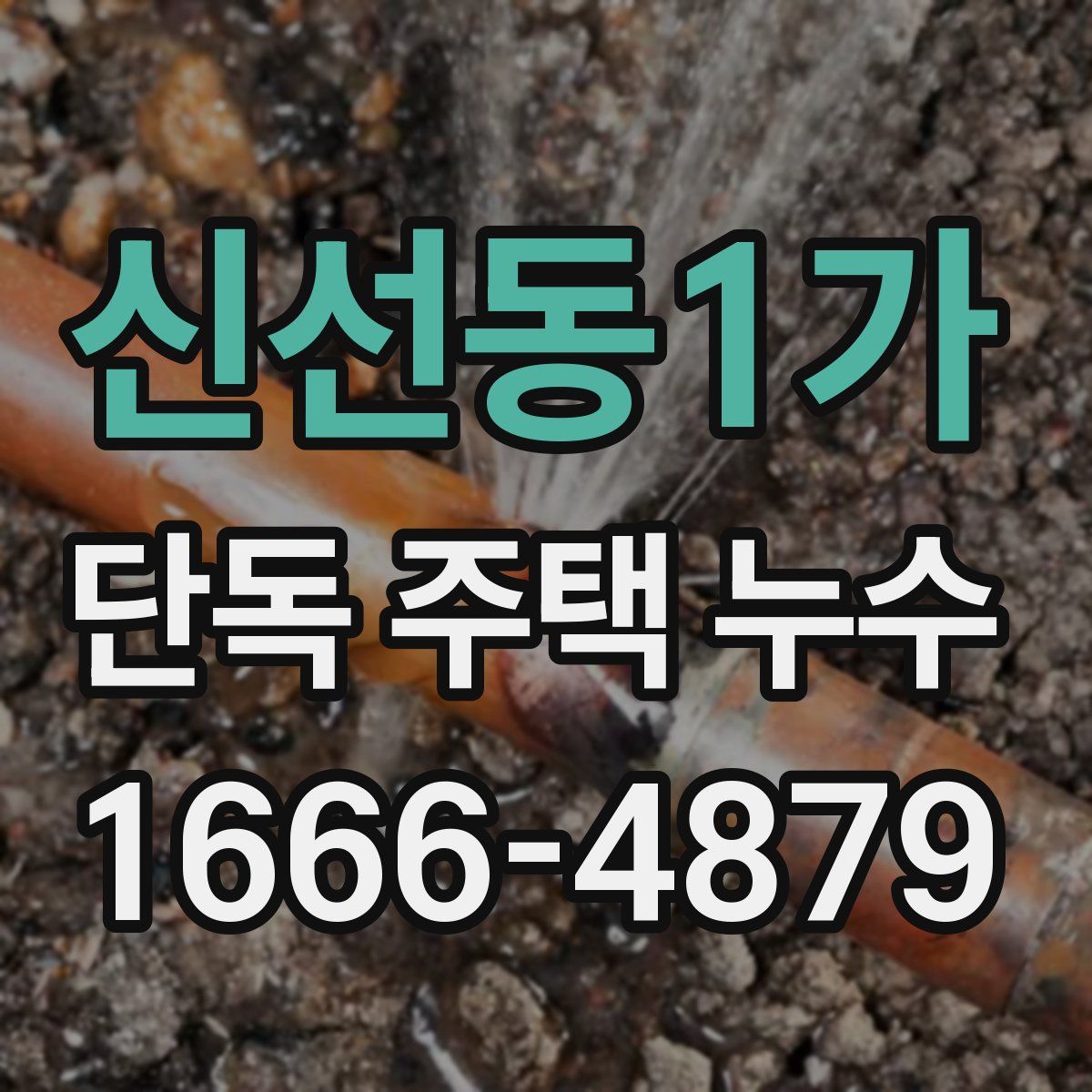 신선동1가 단독 주택 누수