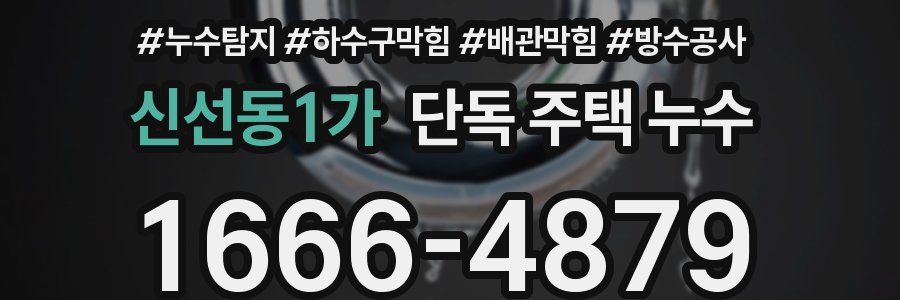 신선동1가 단독 주택 누수
