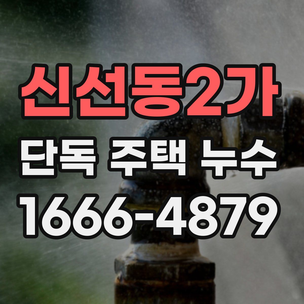 신선동2가 단독 주택 누수