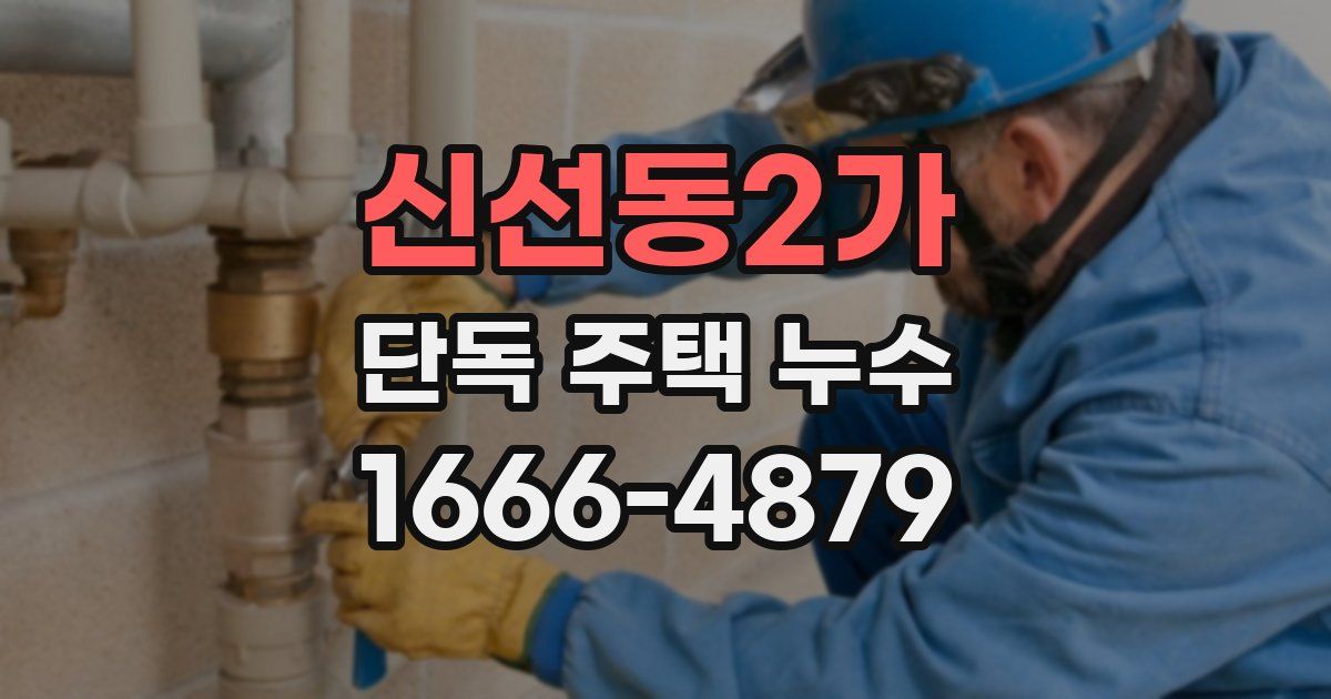 신선동2가 단독 주택 누수