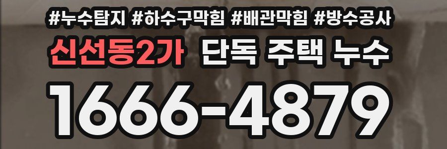 신선동2가 단독 주택 누수