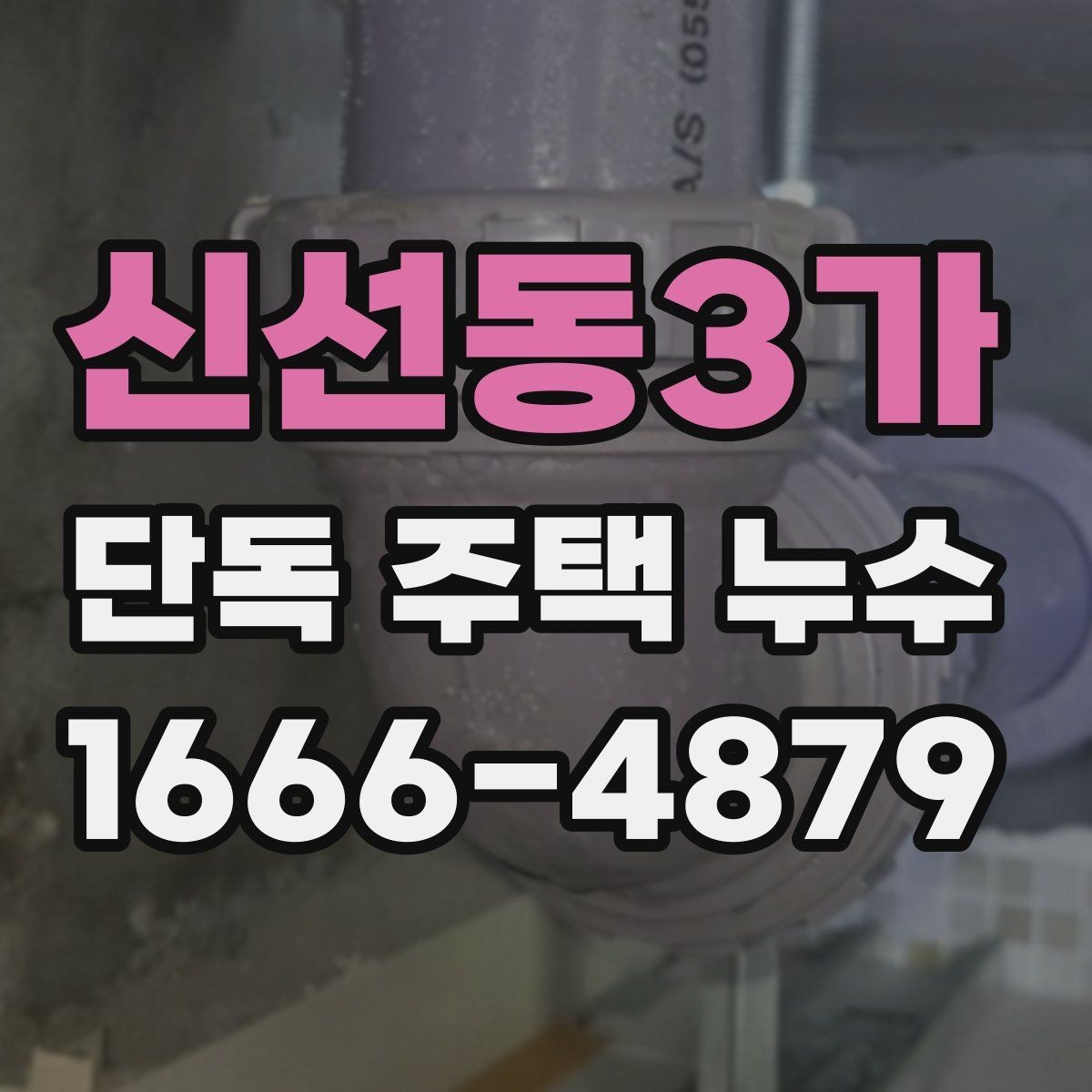 신선동3가 단독 주택 누수 탐지 후 보수 결정 기준