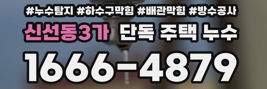 신선동3가 단독 주택 누수
