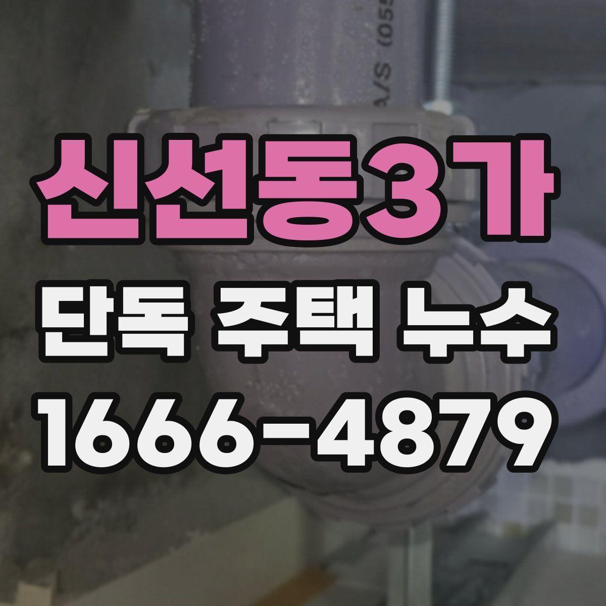 신선동3가 단독 주택 누수