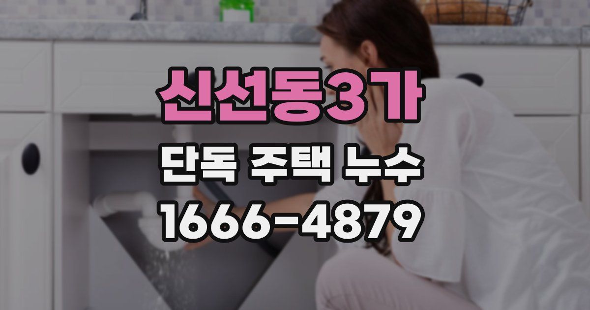 신선동3가 단독 주택 누수