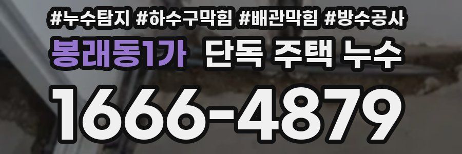 봉래동1가 단독 주택 누수