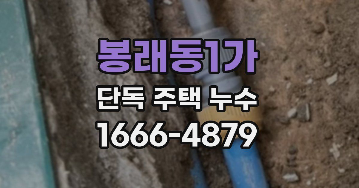 봉래동1가 단독 주택 누수