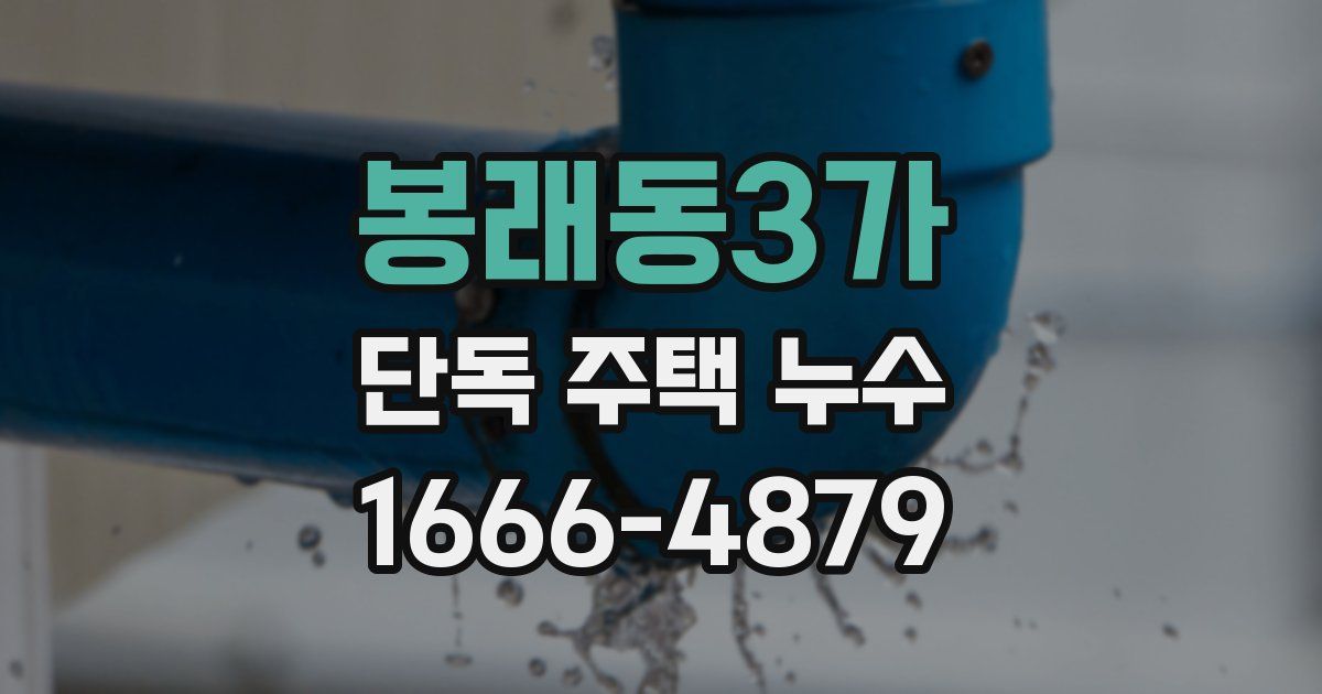 봉래동3가 단독 주택 누수