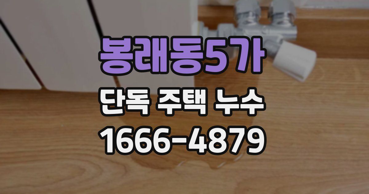 봉래동5가 단독 주택 누수