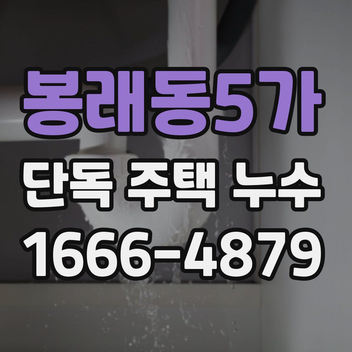 봉래동5가 단독 주택 누수