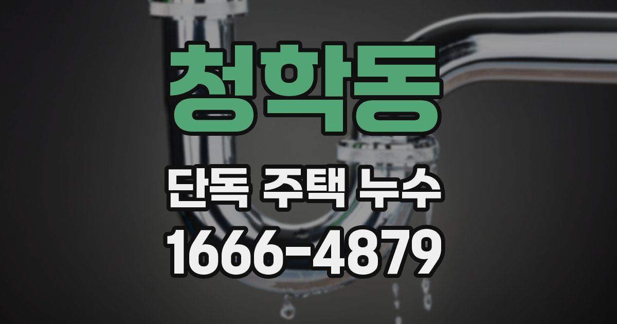 청학동 단독 주택 누수