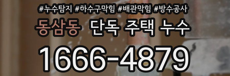 동삼동 단독 주택 누수