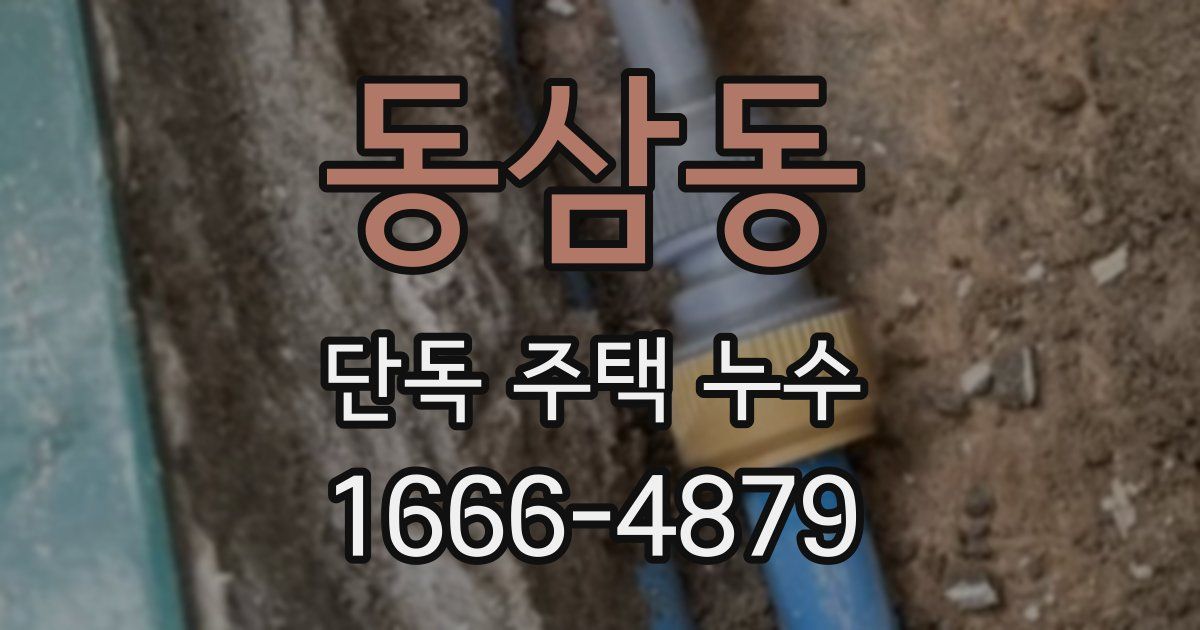 동삼동 단독 주택 누수