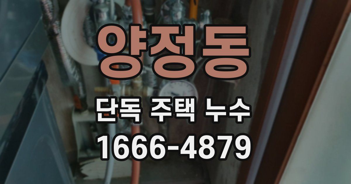 양정동 단독 주택 누수