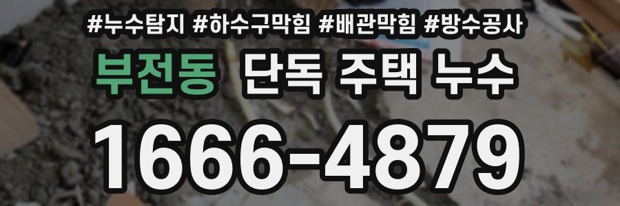 부전동 단독 주택 누수