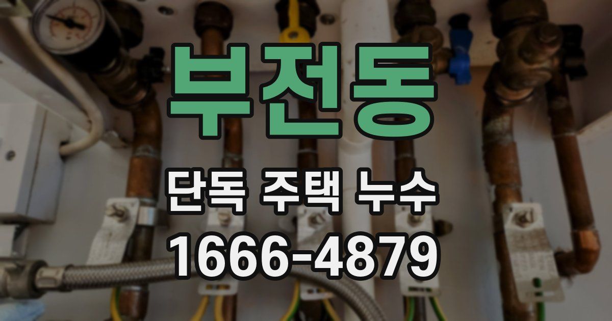 부전동 단독 주택 누수