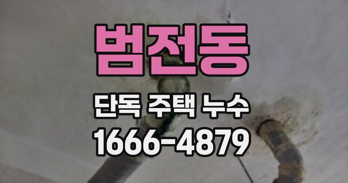 범전동 단독 주택 누수