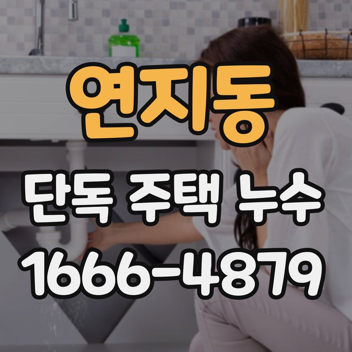 연지동 단독 주택 누수