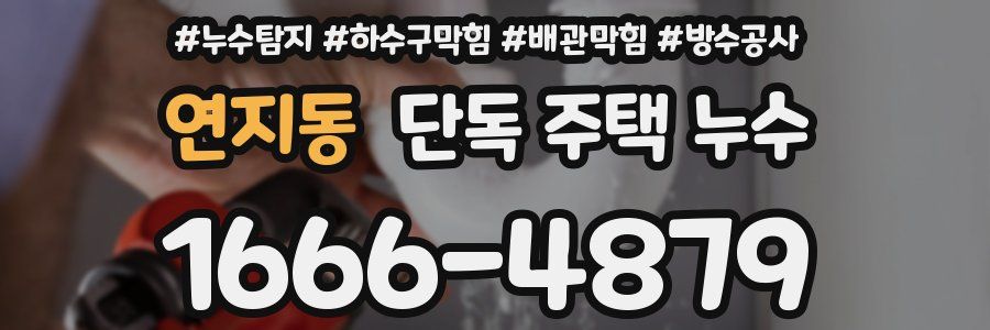 연지동 단독 주택 누수