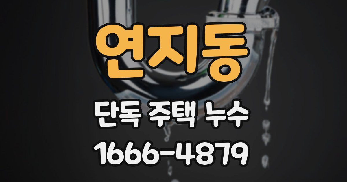 연지동 단독 주택 누수