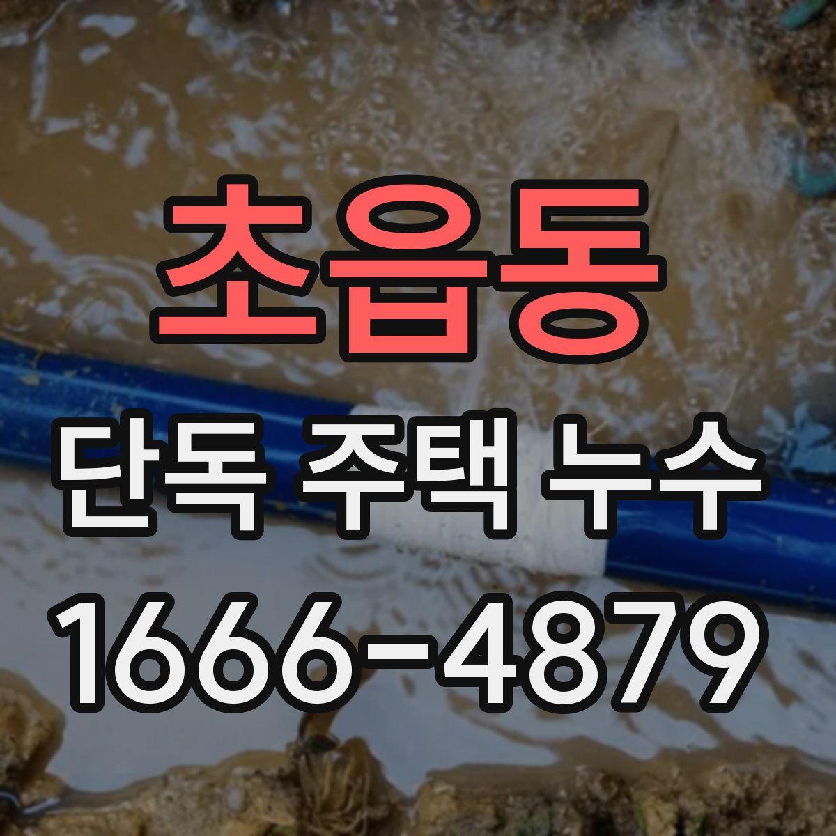 초읍동 단독 주택 누수