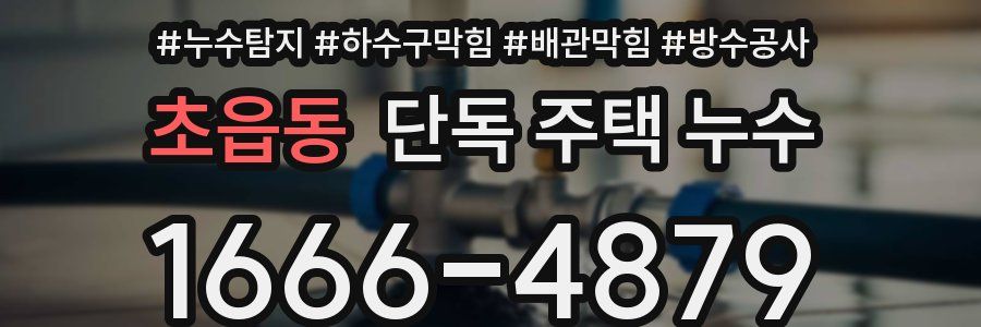 초읍동 단독 주택 누수